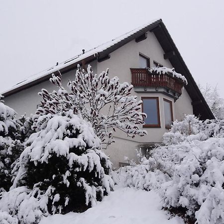 Apartament Ferienwohnnung Ruth - Familienurlaub Im Erzgebirge Langenbach  Zewnętrze zdjęcie